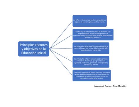 Agente Educativo Lorena Del Carmen Sosa Medellín Principios Rectores