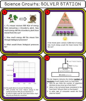 Ecology Stem Steam Science Lab Centers Food Chains Webs Energy Pyramids