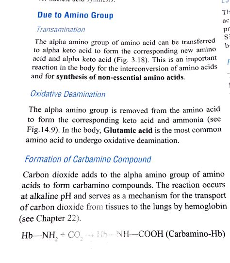 Reactions due to amino group - ####### Due to Amino Group Transamination The alpha amino group ...