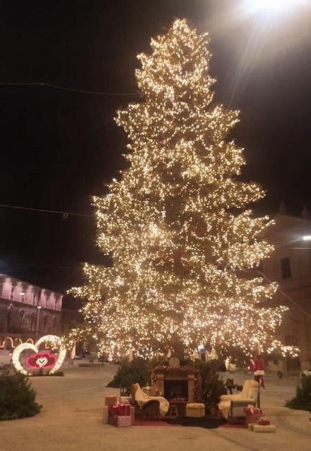 San Severino Si Accende Lalbero Di Natale E Partono Gli Eventi