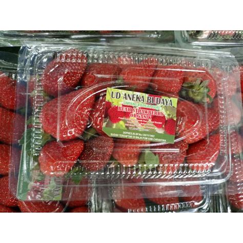 Jual Buah Strawberry Organik Fresh Pack Shopee Indonesia