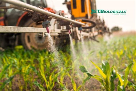 Fertilizers For Efficient Nutrient Applications St Biologicals