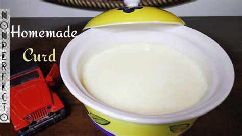 Homemade Curd Youtube