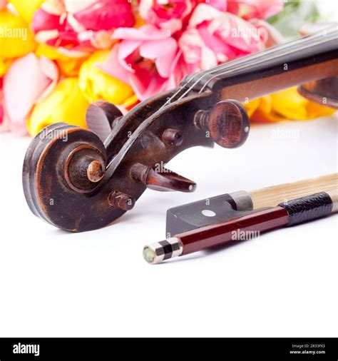 Black Old Violin Stock Photo Alamy