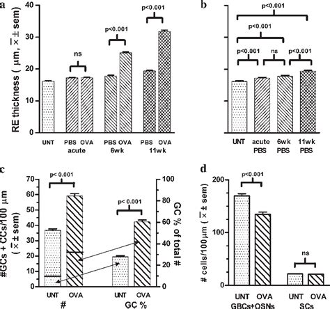 Figure 6 From Tissue Specific Effects Of Allergic Rhinitis In Mouse