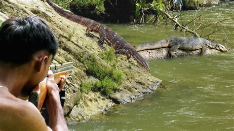 Berburu Biawak Besar Penunggu Pohon Sungai Larangan Youtube