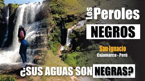 Los Peroles Negros San Ignacio Youtube