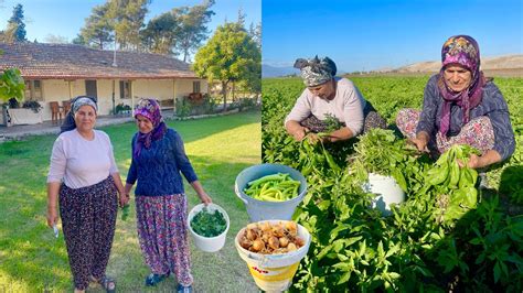 YAŞLI TEYZE NİN SÜPER KÖY EVİNE BAKIN HALAM IN KÖY KOMŞU EVİ LEZZETLİ