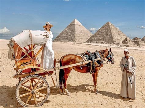 Private Half Day Tour In Giza Pyramids And Horse Carriage Ride With