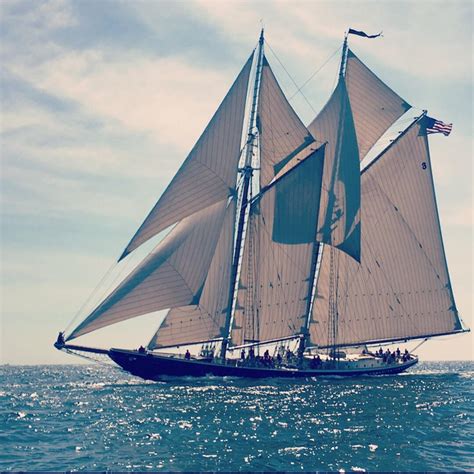 Beautiful schooner I saw off of Gloucester, Massachusetts : r/sailing