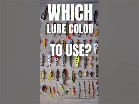 What color lure to use #lurefishing : r/FishingForBeginners