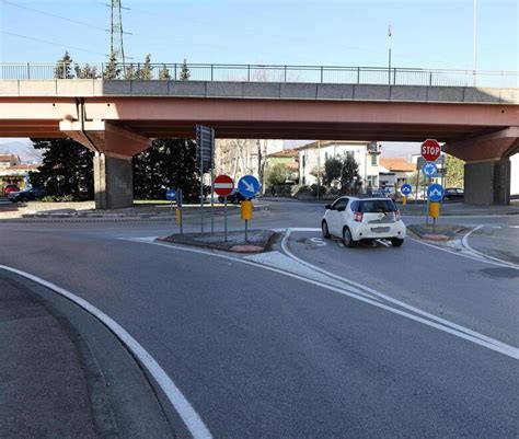 Pistoia Parco Urbano Sul Viale Adua Mille Piante Dai Vivai Vannucci