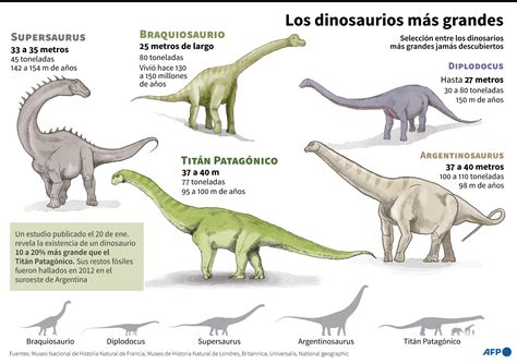 En B Squeda Del Mayor Titanosaurio Conocido En La Patagonia Argentina