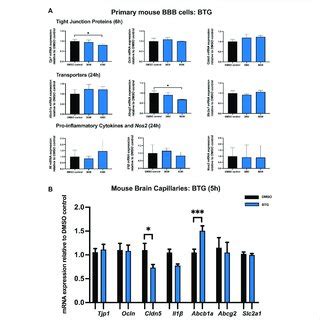 Mrna Expression Of Tj Proteins Transporters Proinflammatory Cytokines