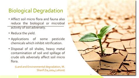 Soil Degradation Ppt