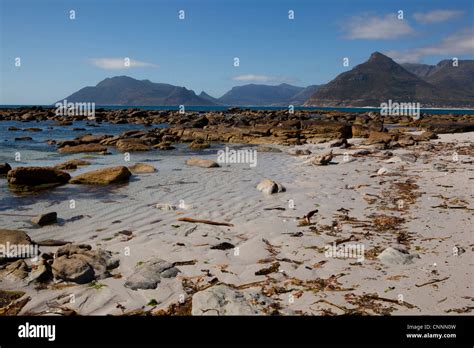 Kommetjie beach, Kommetjie, Western Cape, South Africa Stock Photo - Alamy