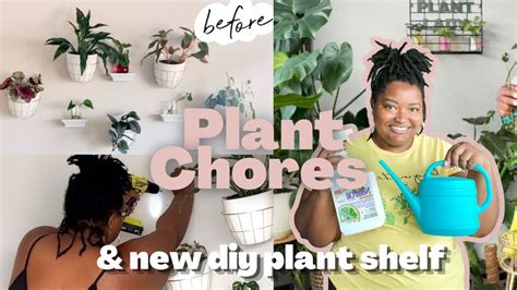 Houseplant Chores New Diy Plant Shelves Youtube