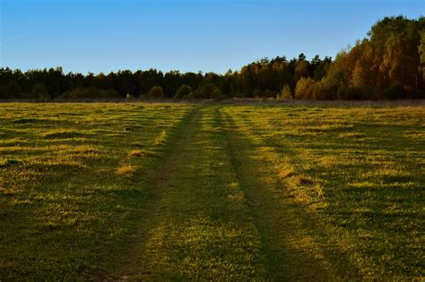 Straße Feld Wiese Kostenloses Foto auf Pixabay Pixabay