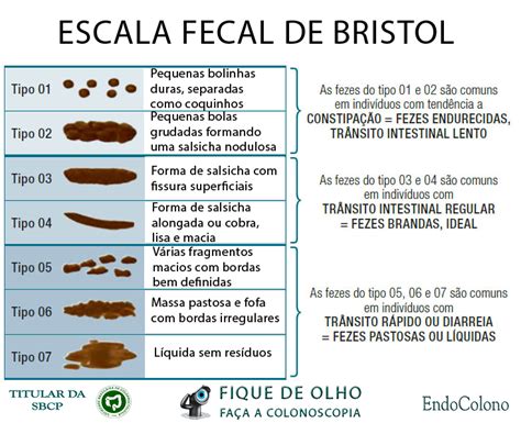 Entenda Como Utilizar A Escala De Bristol E Potencializar Os Descubra