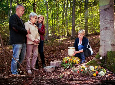 Waldesruh Naturbestattung