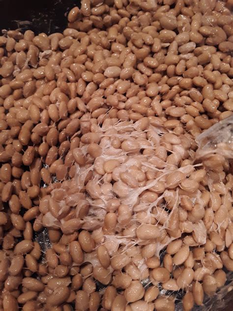 First natto! First success! : r/fermentation