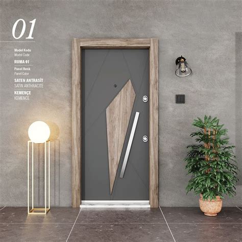 Modern Home Door Design