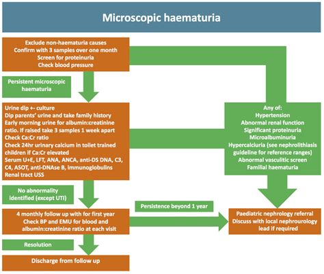 Haematuria in Children - PAEDIATRIC INNOVATION, EDUCATION & RESEARCH ...