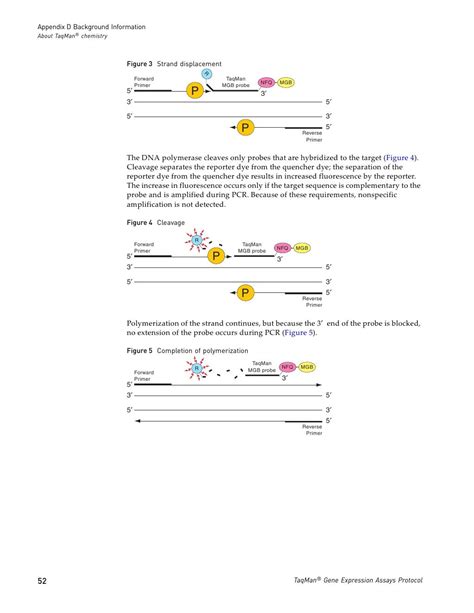 Taqman® Gene Expression Assays Protocol