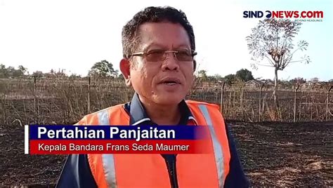 Kebakaran Lahan Di Area Bandara Frans Seda Maumere Api Merambat Cepat