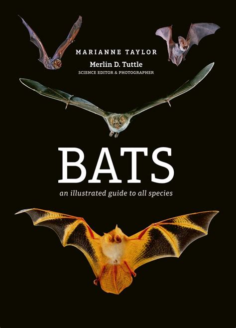 Bats An Illustrated Guide To All Species Nhbs Field Guides Natural