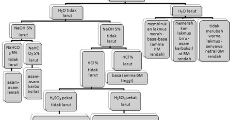 Praktikum Kimia Organik Kel 1a 2011 Percobaan I Uji Kelarutan