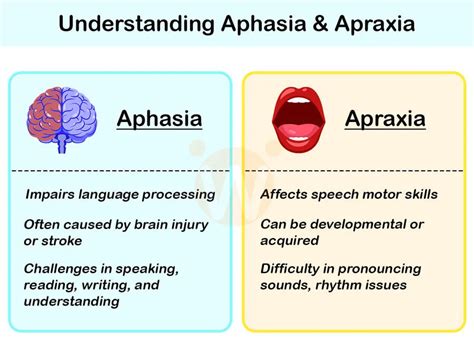 Understand Aphasia And Apraxia Improve Speech