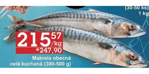 ARCHIV Makrela obecná celá kuchaná 300 500 g 1 kg v akci platné do