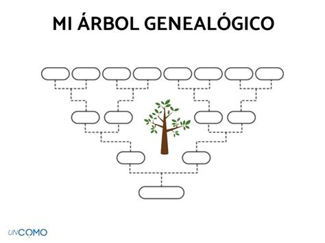 Cómo Hacer Un Árbol GenealÓgico En Word ¡pasos