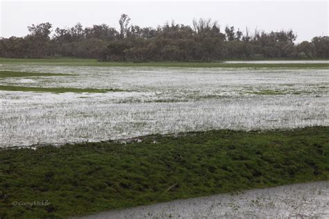 Geomorphology Of Swan Coastal Plain Garry Middle Visionenvironment