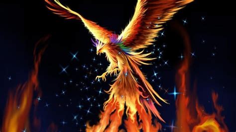 Fire Phoenix Wallpaper