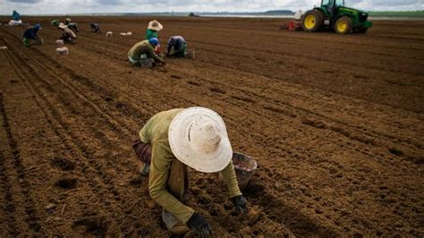 Setor Agropecu Rio Gera Mais De Mil Novas Vagas De Emprego Em