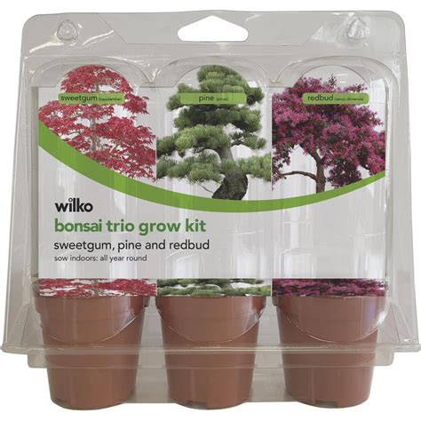 Wilko Grow Your Own Bonsai Trio Kit Wilko