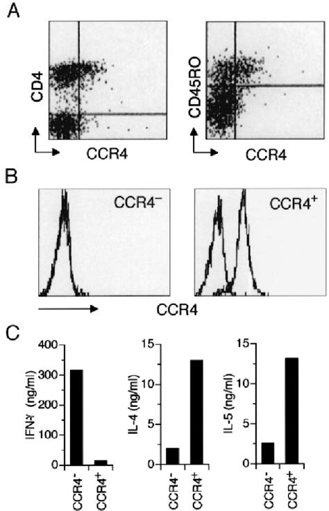 Figure 3 From Selective Recruitment Of Ccr4 Bearing Th2 Cells Toward