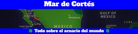 Mar De Cortes Todo Sobre El Acuario Del Mundo El Blog Del Buzo