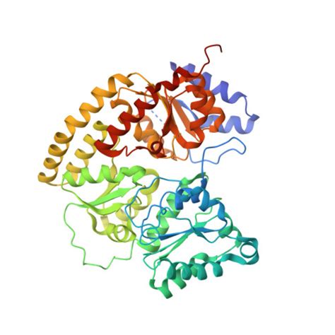 RCSB PDB 6CDK Characterization Of The P1 Intermediate State Of