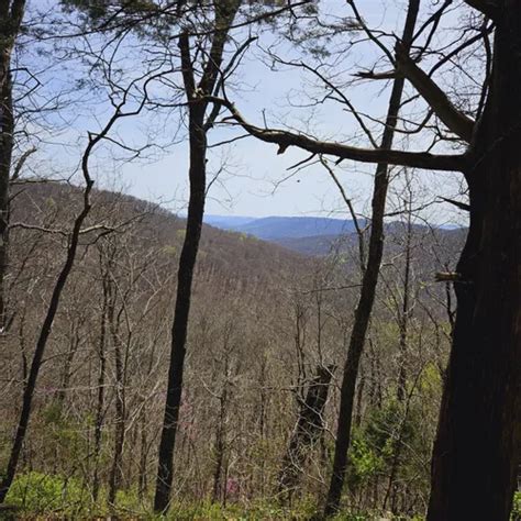 Best Bird Watching Trails In Monte Sano State Park Alltrails