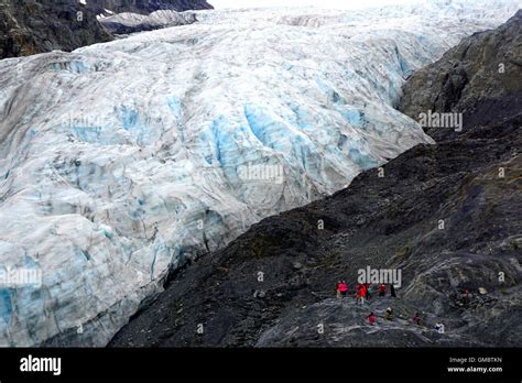 Travelers Hiking Towards The Exit Glacier A Receding Glacier Kenai