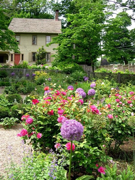 35 best images about rose hedges on Pinterest | Gardens, Hedges and The fairy