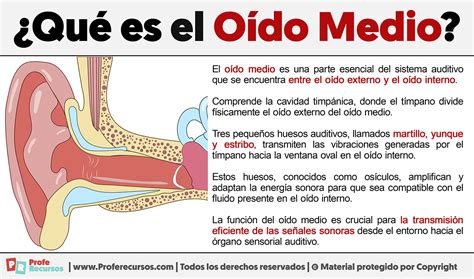 Qu Es El O Do Medio