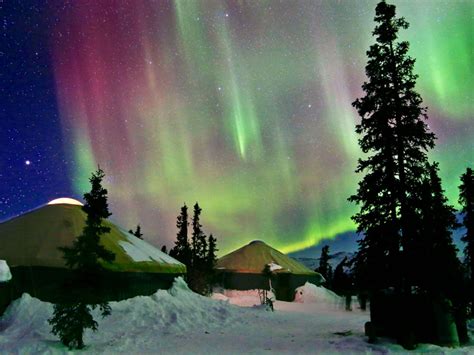 Alaska Northern Lights Tour Anchorage To The Arctic Circle