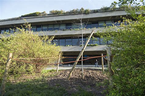 H Um Novo Ulmeiro No Jardim Jardim Gulbenkian