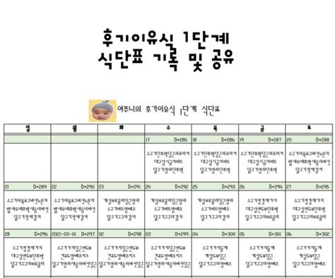 후기이유식1단계 완분아기 이유식 식단표후기이유식 식단표후기이유식 1단계후기이유식 식단표 공유 네이버 블로그