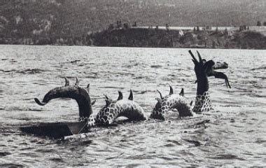 Ogopogo - Mythical Cryptid Lake Monster | Mythology.net