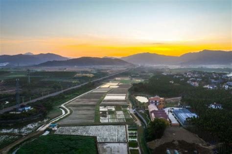 从山区到全球最大资源圃，珍稀野生稻搬“新家”腾讯新闻